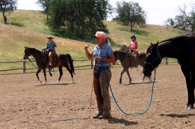 Jodi Grimm-Ellis Teaching