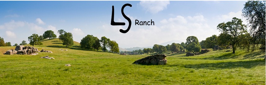 LSRanch Horsemanship Video Library