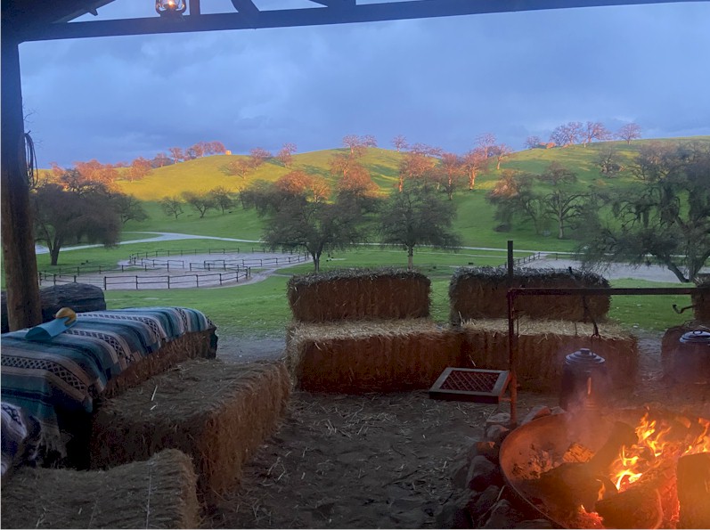 Early evening from the pole barn